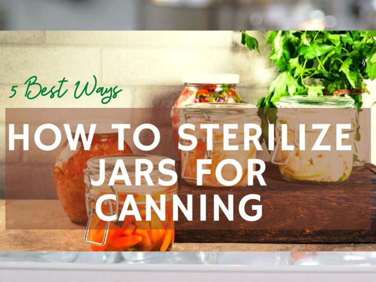 How to Sterilize Jars for Canning: 5 Best Ways INFOGRAPHIC AND VIDEO
