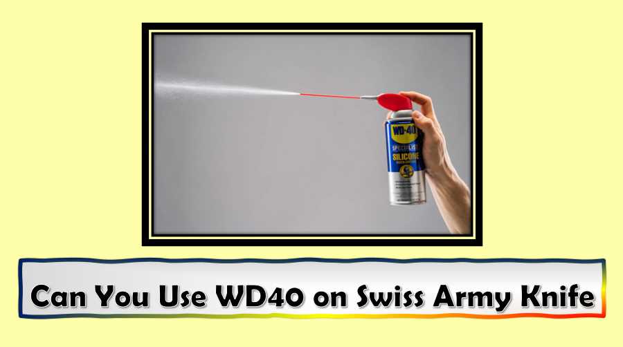 Can You Use WD40 on Swiss Army Knife