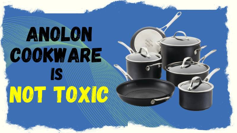 Is Anolon Cookware Toxic